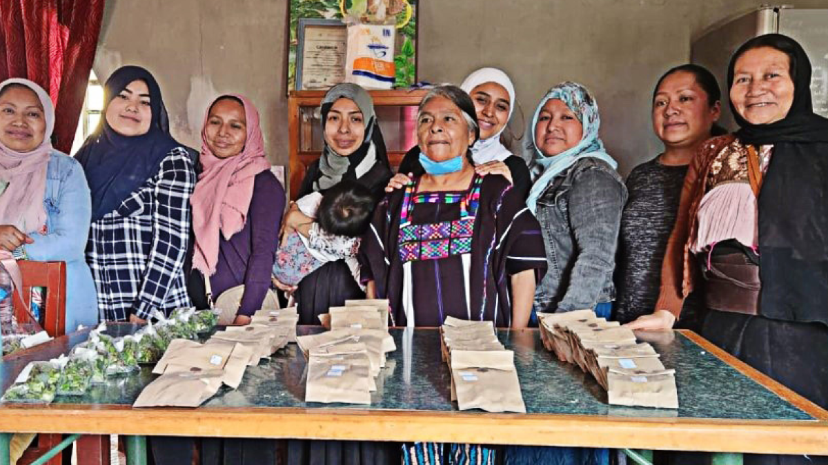 A group of women stand in front of a table with medicinal herbs